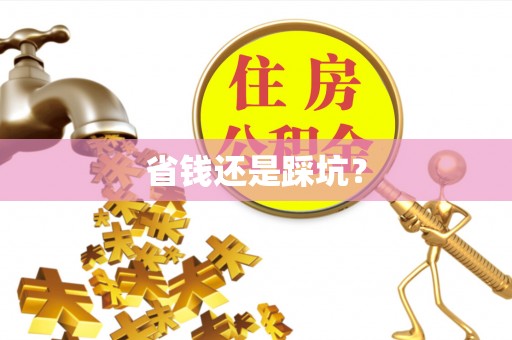 火炬省钱还是踩坑？