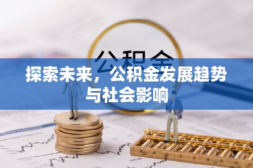 火炬探索未来，公积金发展趋势与社会影响