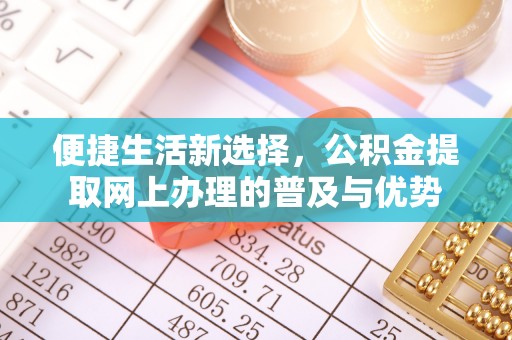 火炬便捷生活新选择，公积金提取网上办理的普及与优势