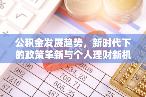 火炬公积金发展趋势，新时代下的政策革新与个人理财新机遇