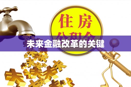 火炬未来金融改革的关键
