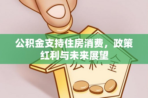 火炬公积金支持住房消费，政策红利与未来展望