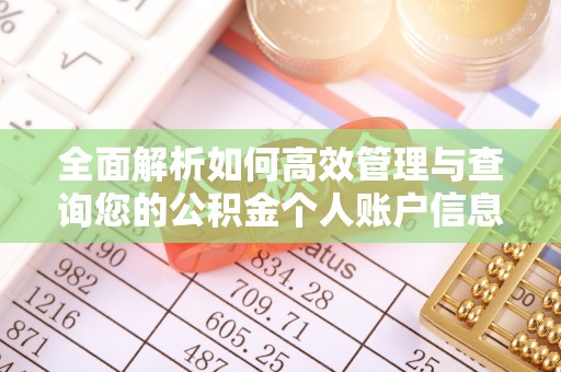 火炬全面解析如何高效管理与查询您的公积金个人账户信息