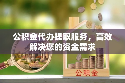 火炬公积金代办提取服务，高效解决您的资金需求