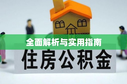 火炬全面解析与实用指南