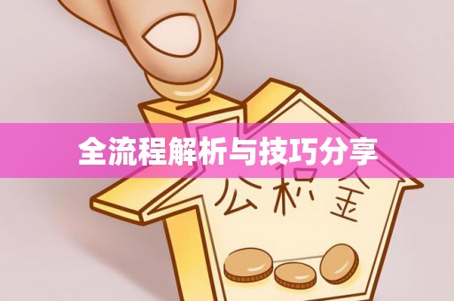 火炬全流程解析与技巧分享
